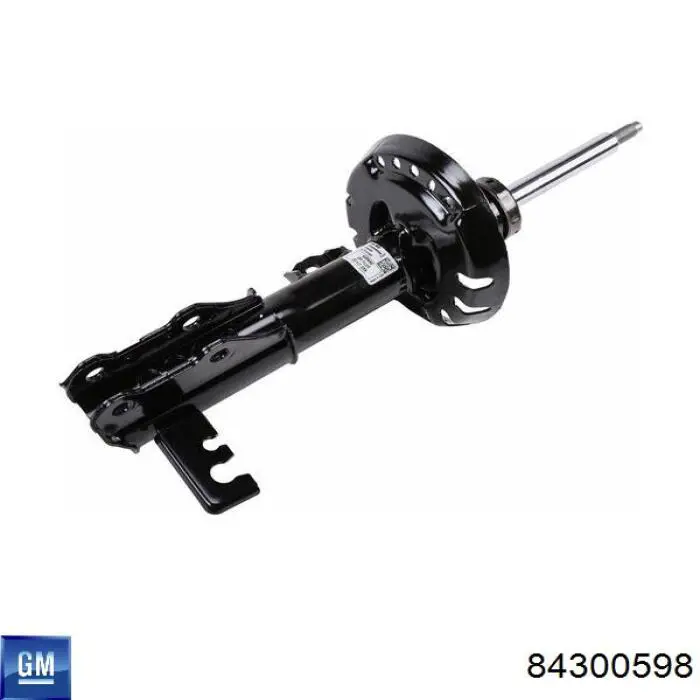 Купити 84300598 General Motors 