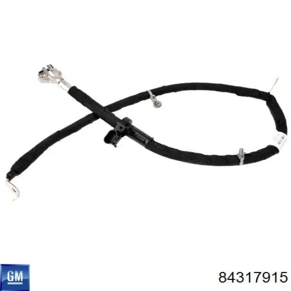 Купити 84317915 General Motors 