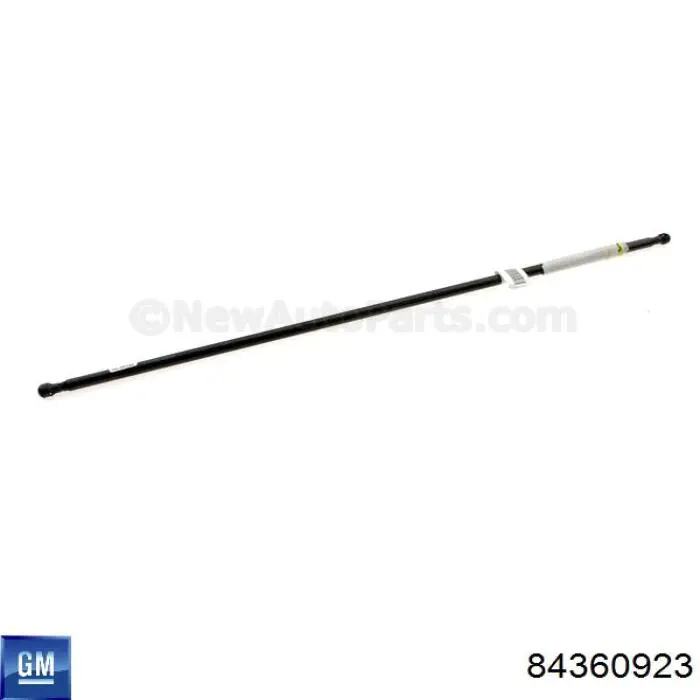 Амортизатор багажника 22902995 General Motors
