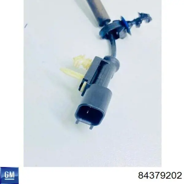  General Motors 84379202