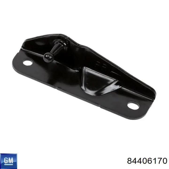  General Motors 84406170