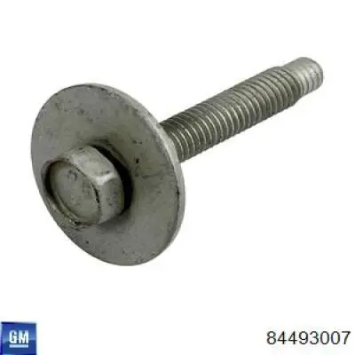Купити 84493007 General Motors 