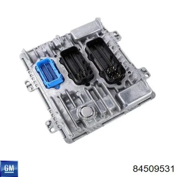 84509531 General Motors 
