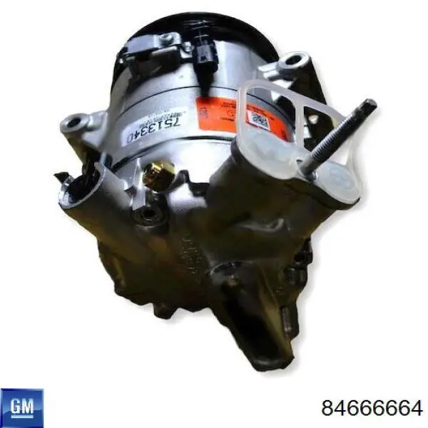  General Motors 84666664