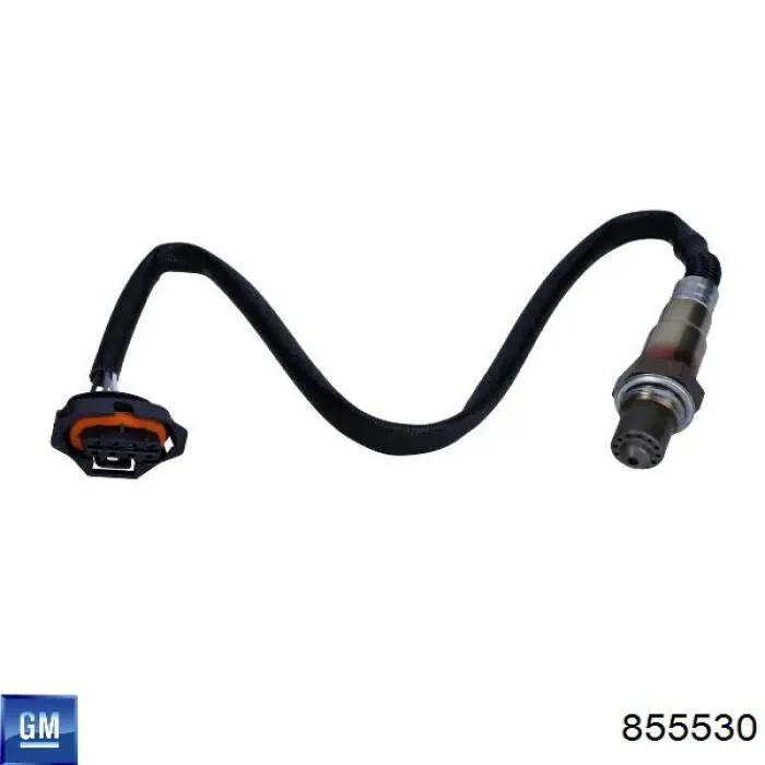 855530 General Motors Лямбда зонд після каталізатора, правий