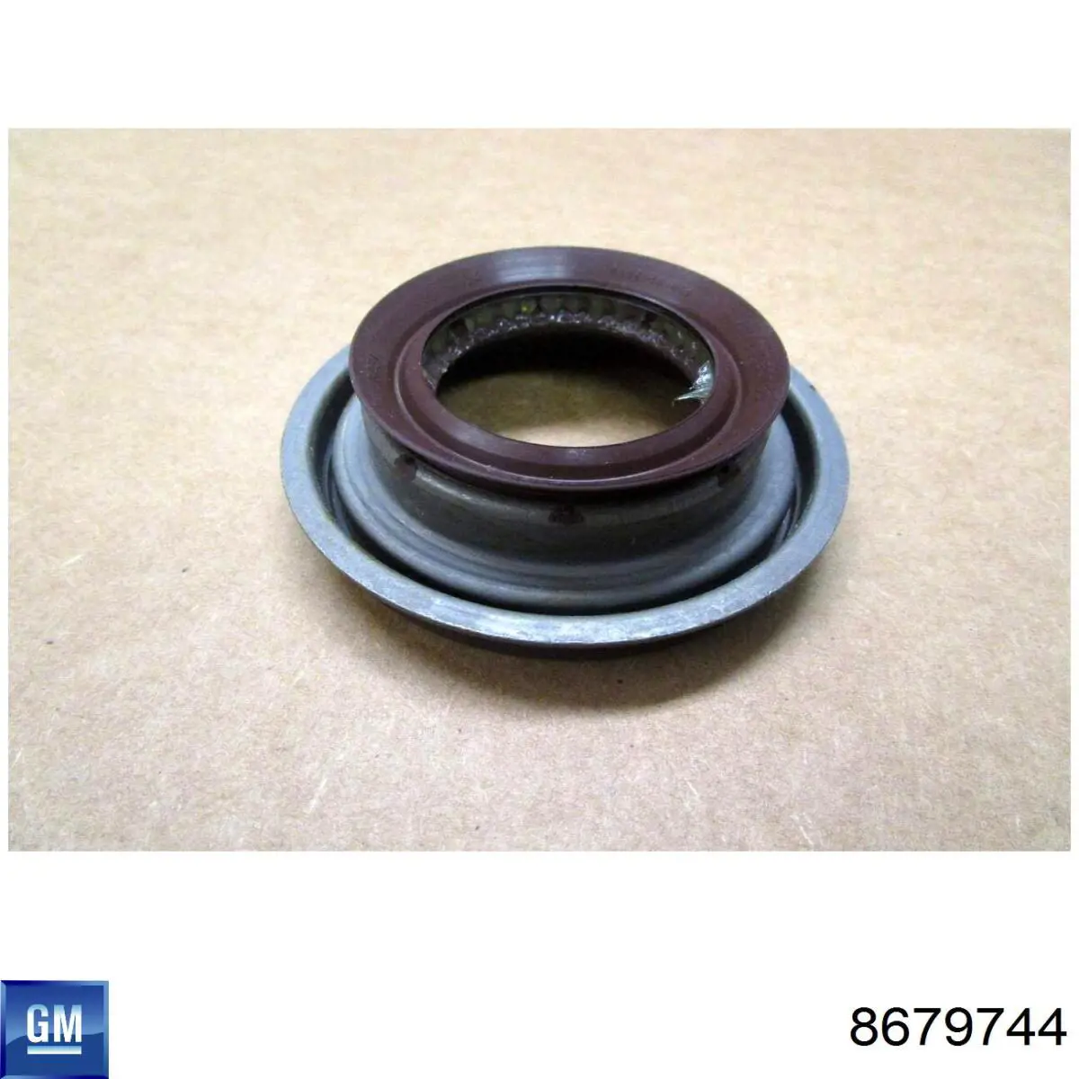  General Motors 8679744