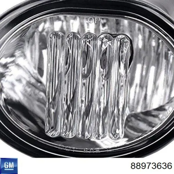 Купити 8121001011 Toyota Протитуманка права