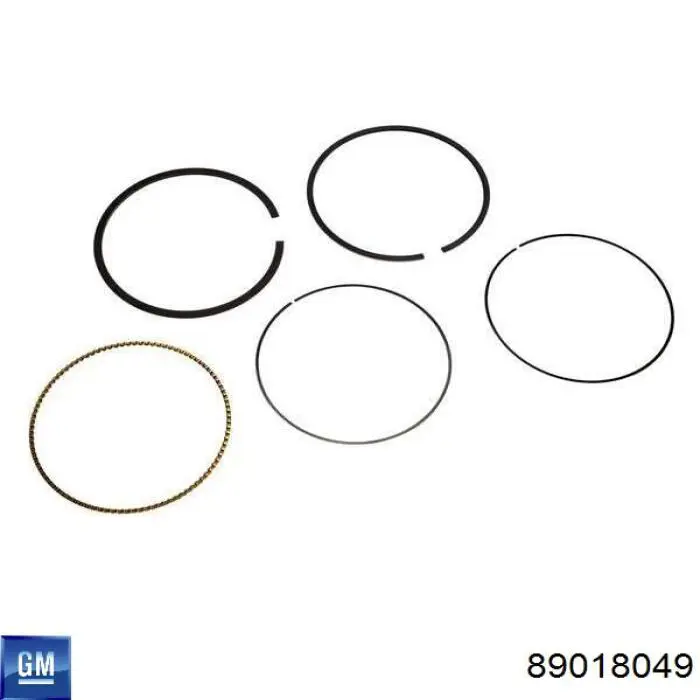 Купити 89018049 General Motors 
