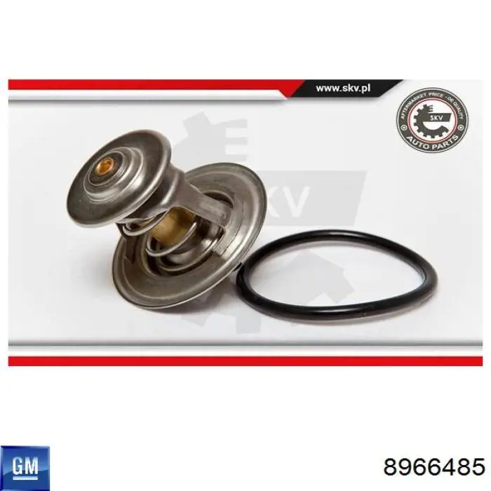8966485 General Motors Авто термостат