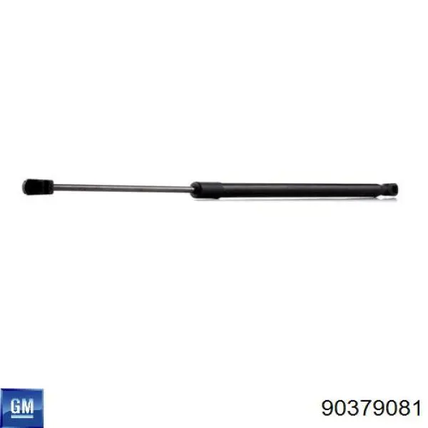 Амортизатор двері задньої General Motors 90379081 ціна, від 7.78 USD