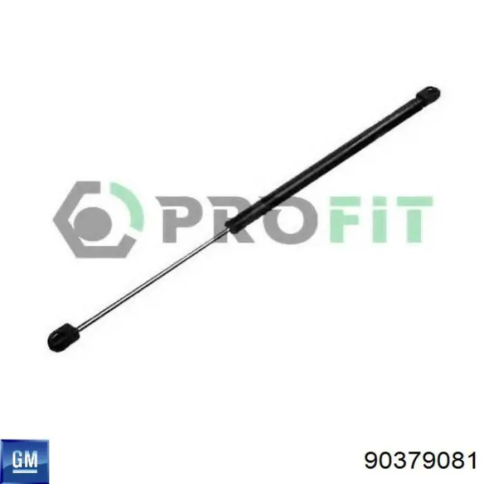 90379081 General Motors Амортизатор кришки багажника / двері 3/5-ї задньої