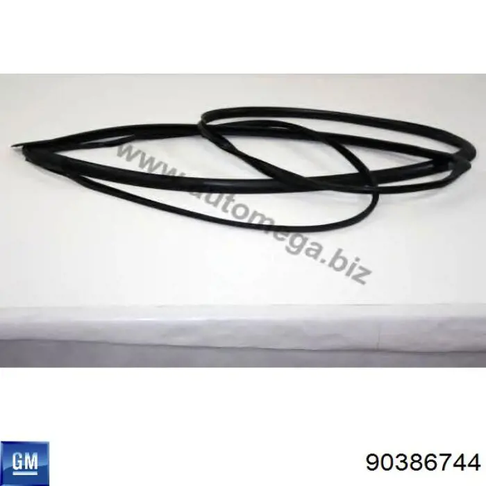 Купити GS5022P110X Icor Ущільнювач лобового скла