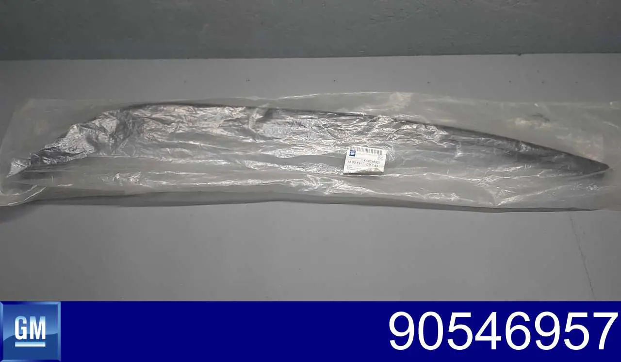 Спойлер переднього бампера, лівий 90546957 General Motors