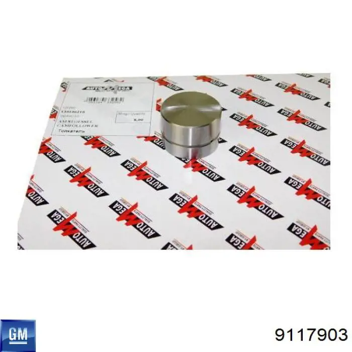 9117903 General Motors Гідрокомпенсатор