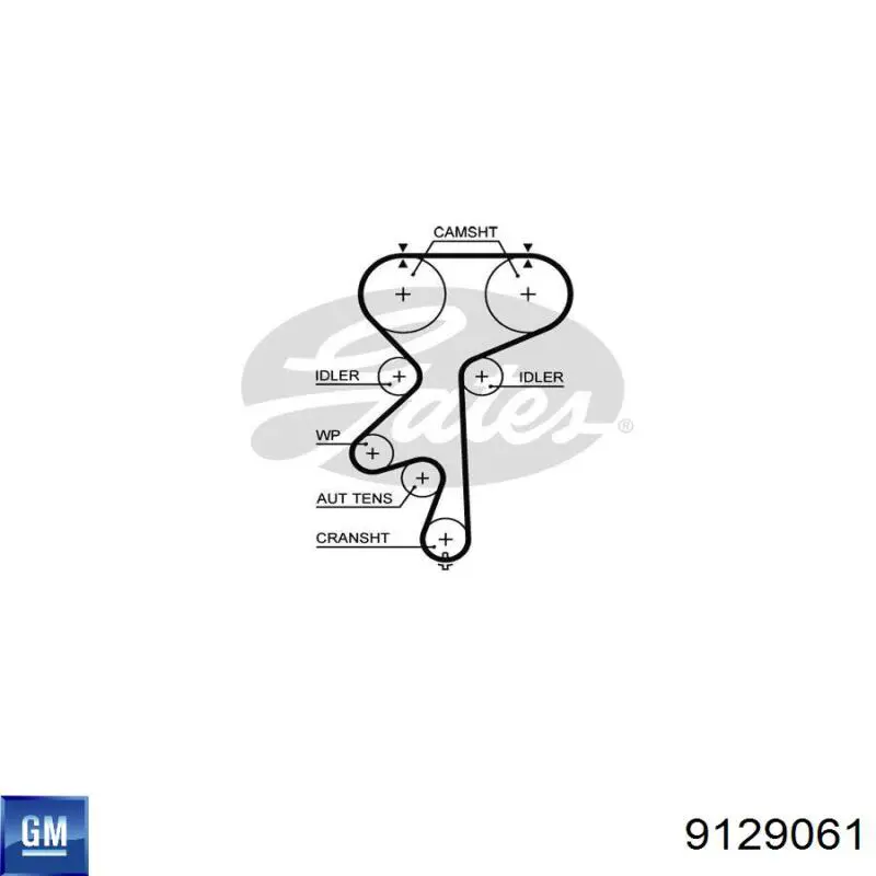 Зубчастий ремінь General Motors 9129061 ціна, від 20.71 USD