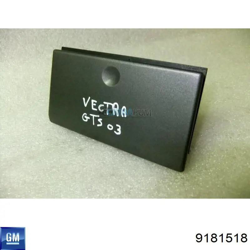  9181518 General Motors