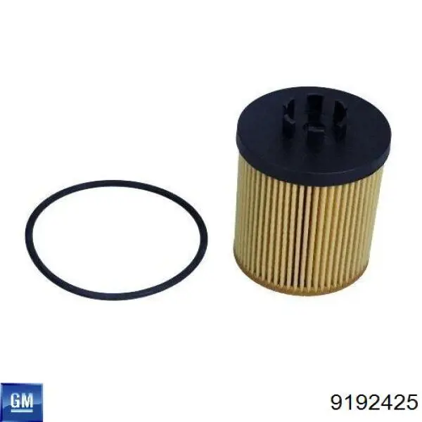 Масляний фільтр 9192425 General Motors