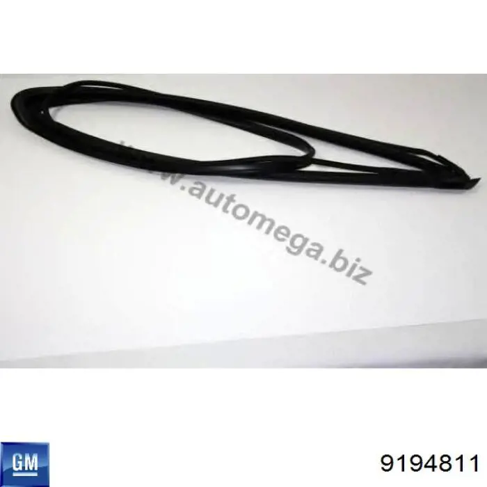 Купити 162011 Opel Вікно вітрове