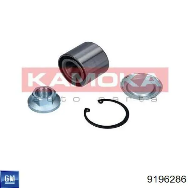 Підшипник задньої ступиці 9196286 General Motors
