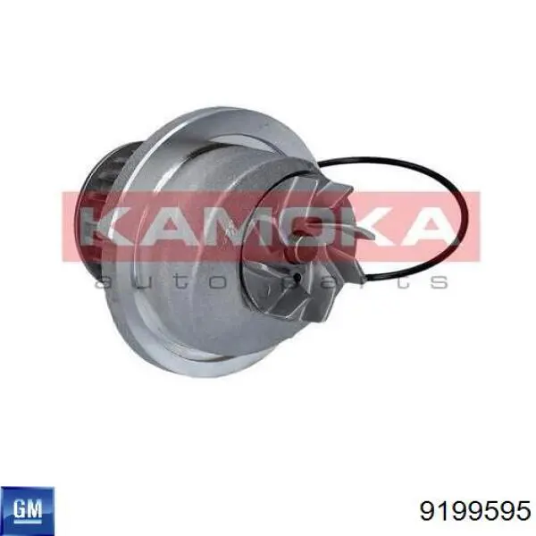 Помпа охолодження General Motors 9199595 ціна, від 29.53 USD