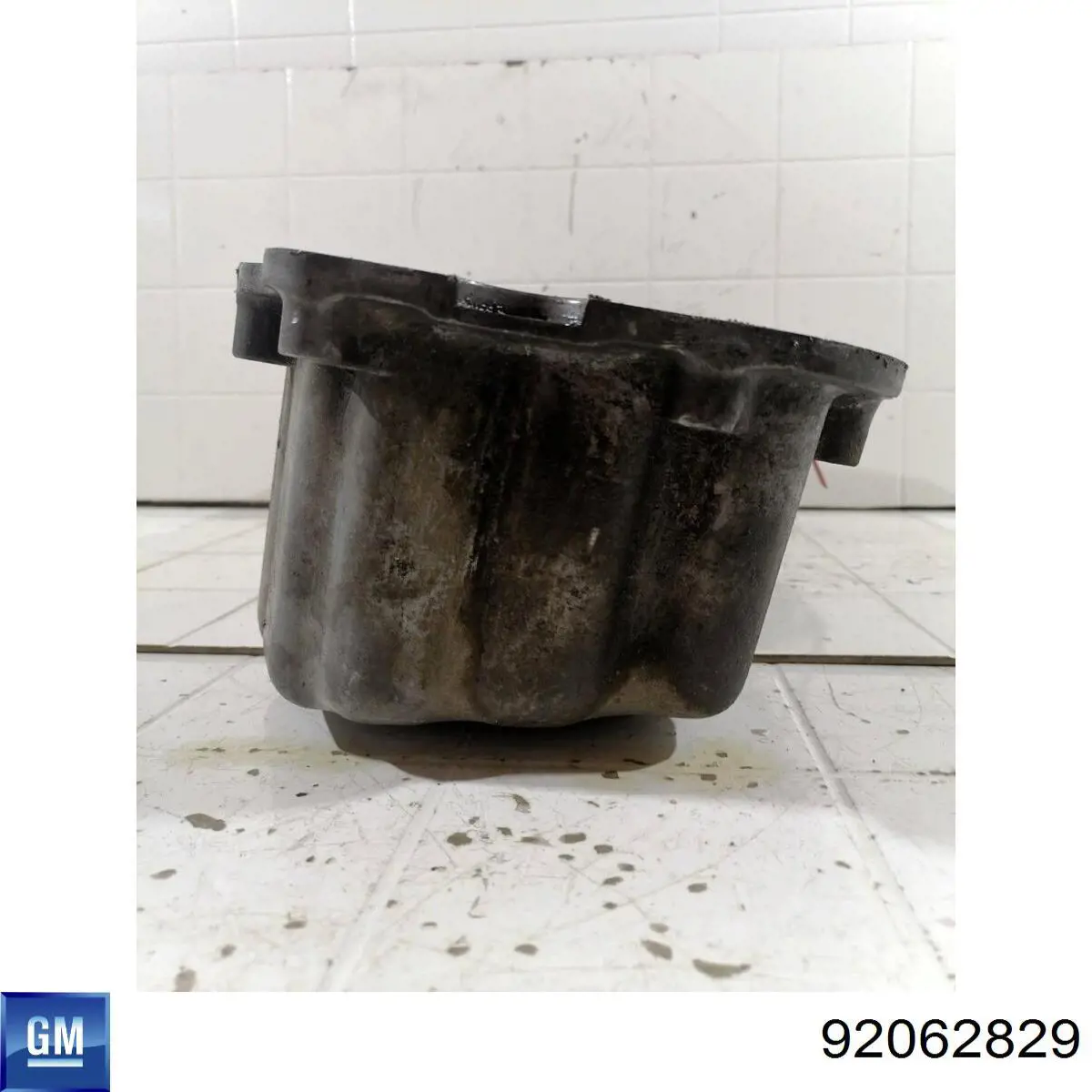 Купити 92063880 General Motors Захист двигуна
