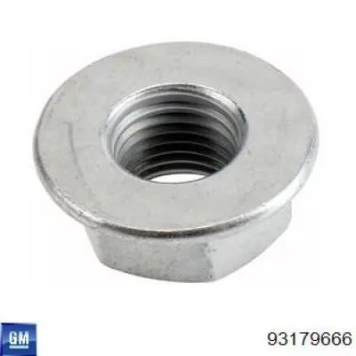 Купити 93179666 General Motors Задні пружини