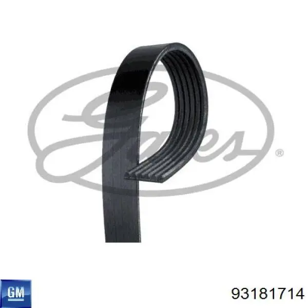 Купити 93181714 General Motors Ремінь генератора
