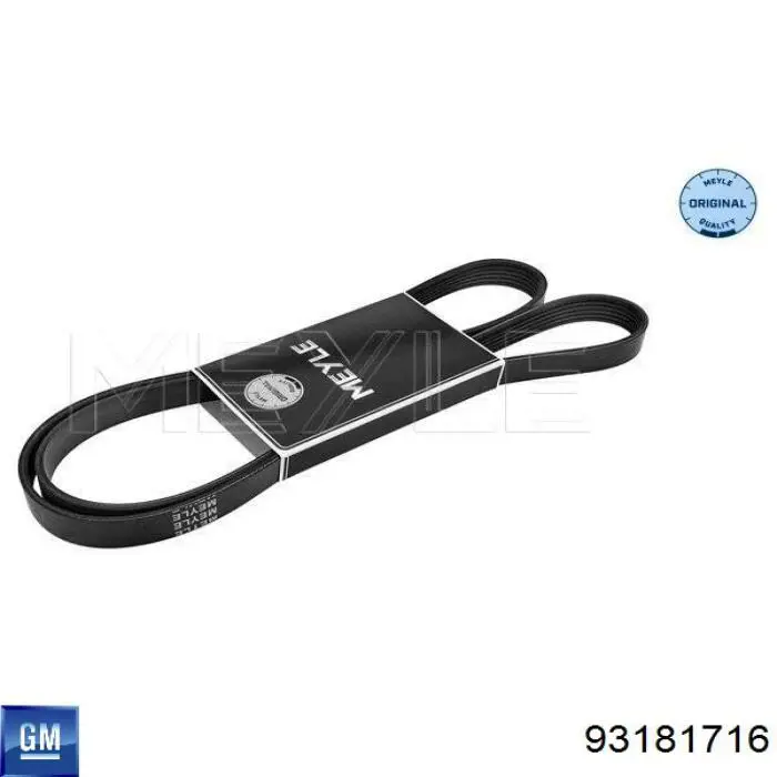 Ремінь генератора 93181716 General Motors