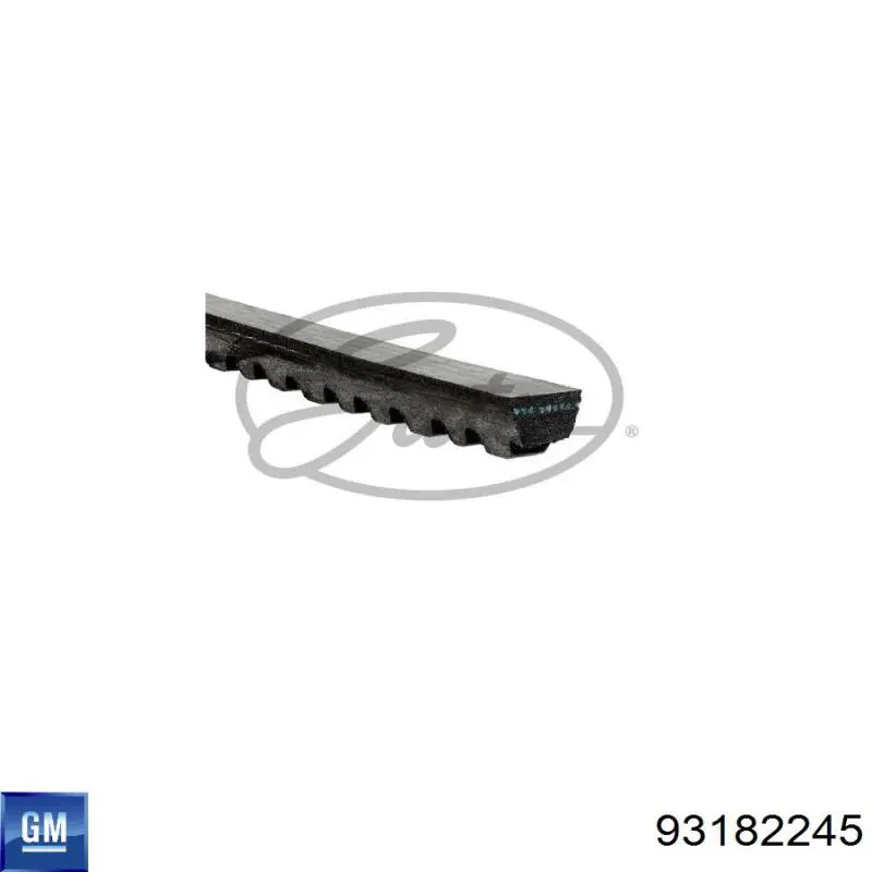 Клиновий ремінь General Motors 93182245 ціна, від 3.15 USD