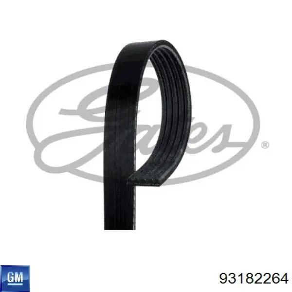 Ремінь генератора 93182264 General Motors