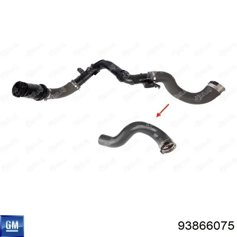 Шланг/патрубок системи охолодження Fast FT61883 ціна, від 32.30 USD