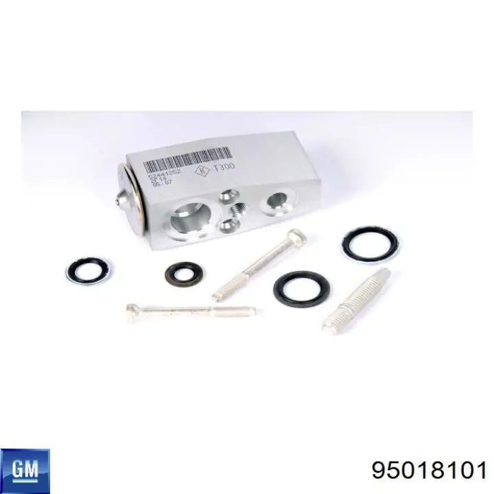 95018101 General Motors Клапан TRV, кондиціонера