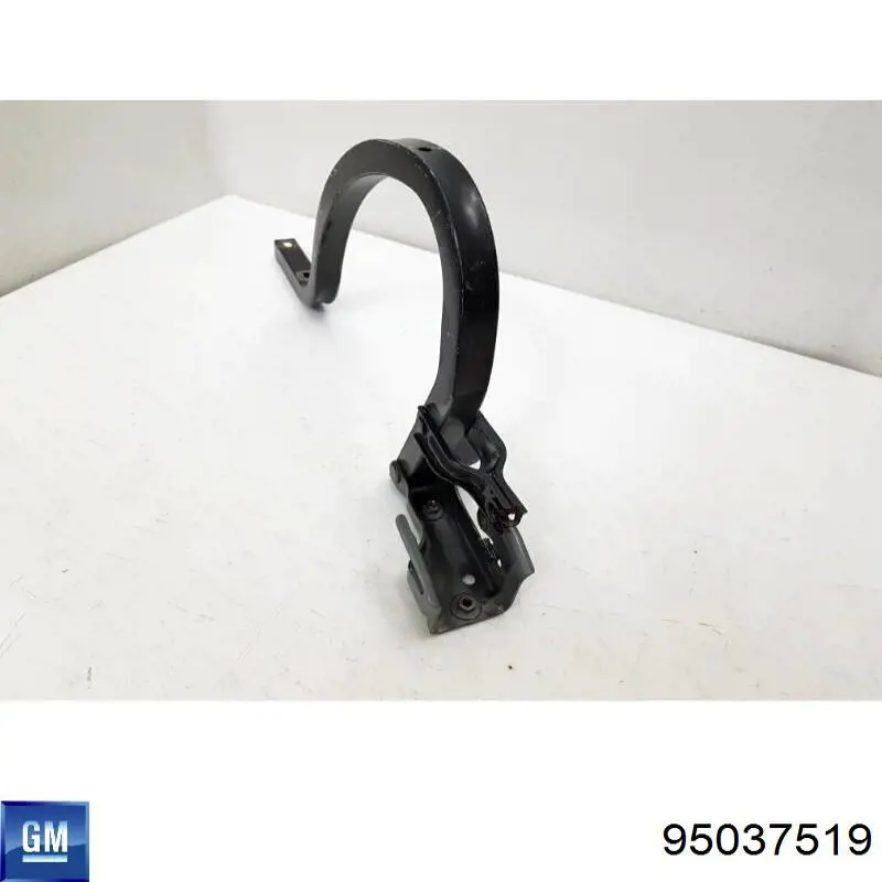 Купити 95971948 General Motors Петля багажника