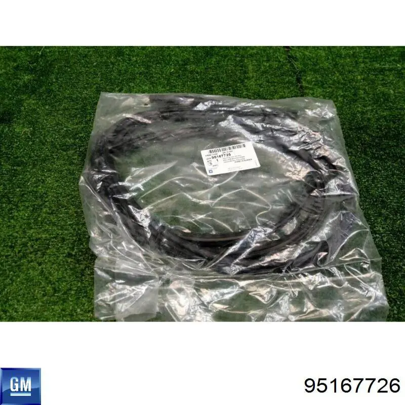 Купити 95167726 General Motors 