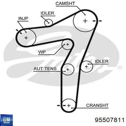 Комплект ГРМ 95507811 General Motors