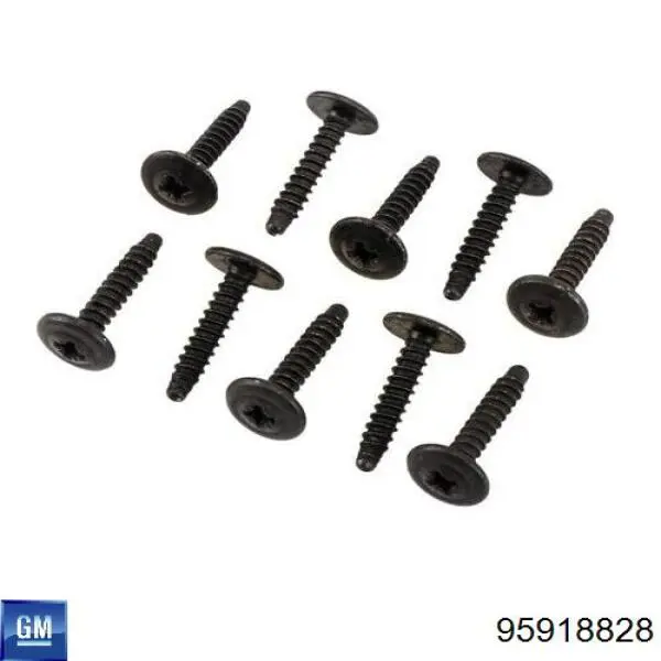 Купити 95918828 General Motors Бризковики задніх коліс
