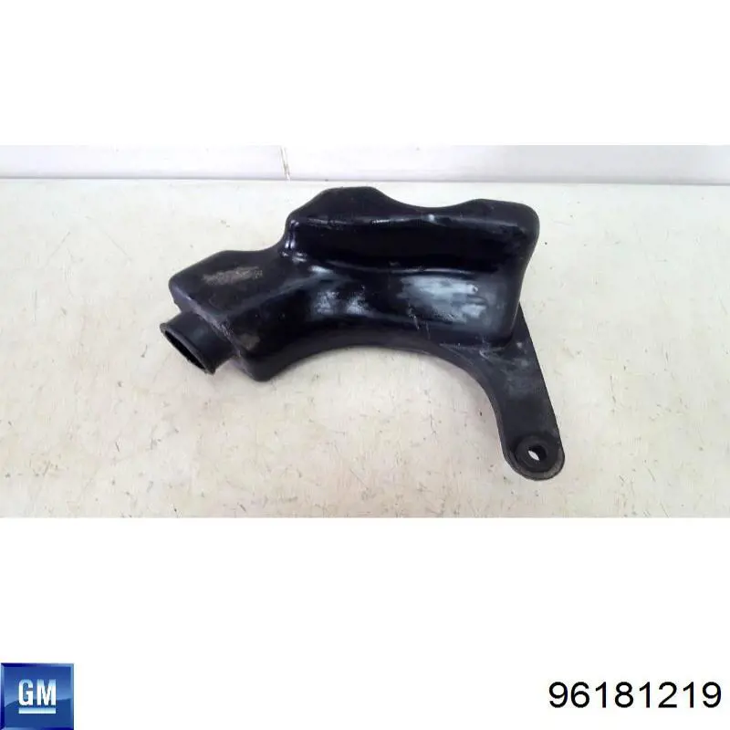 Резонатор повітряного фільтра General Motors 96181219 ціна, від 11.75 USD