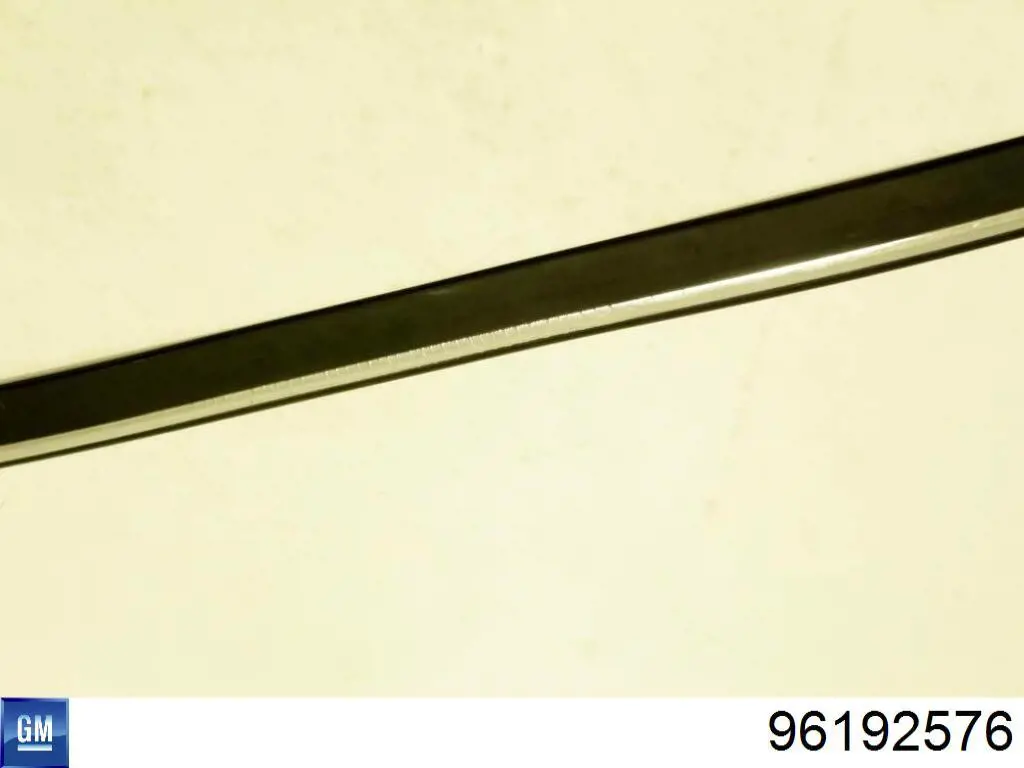 96192576 General Motors 