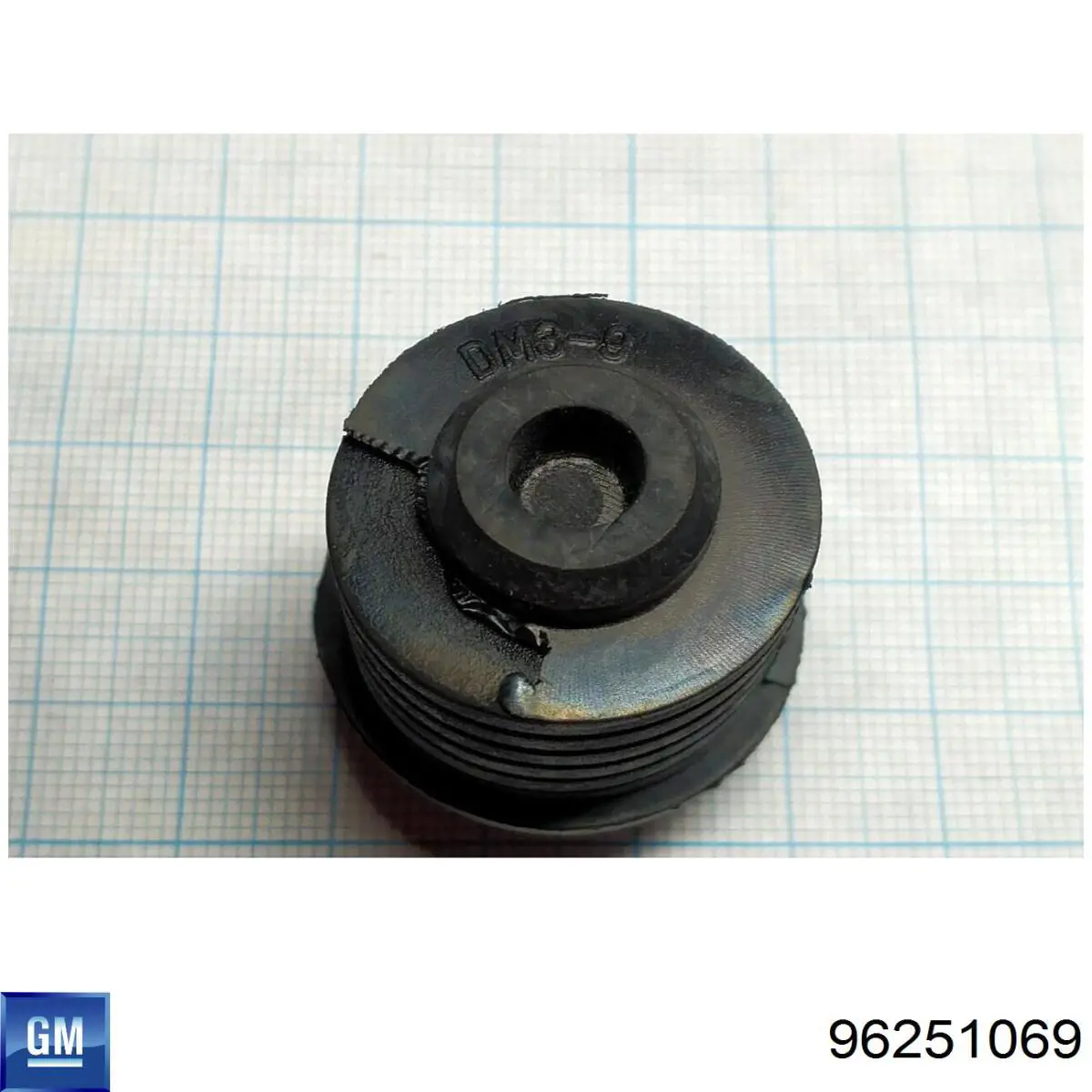  General Motors 96251069 ціна, від 0.99 USD