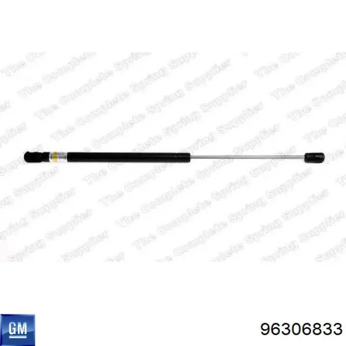 Амортизатор двері задньої Magneti Marelli 430719009500 ціна, від 9.00 USD