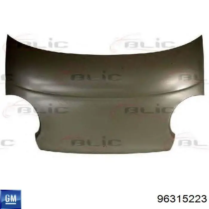 290203Q Polcar Капот