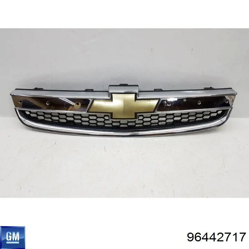 Облицювання радіатора General Motors 96442717 ціна, від 113.86 USD
