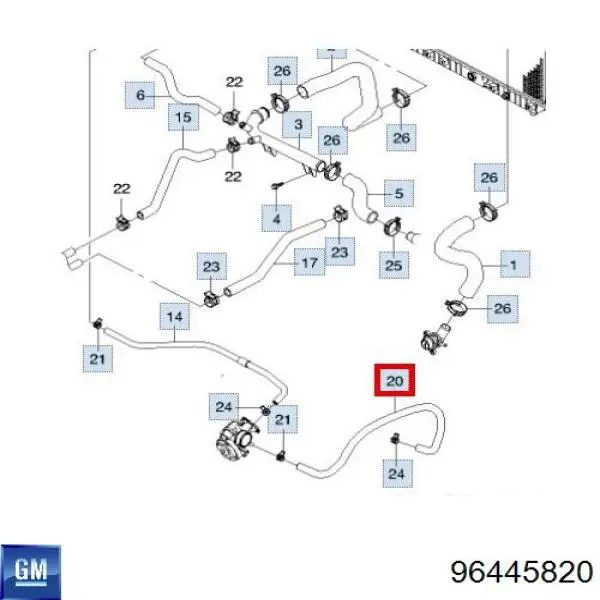 Шланг (патрубок) обігріву дросельної заслінки General Motors 96445820 ціна, від 5.95 USD