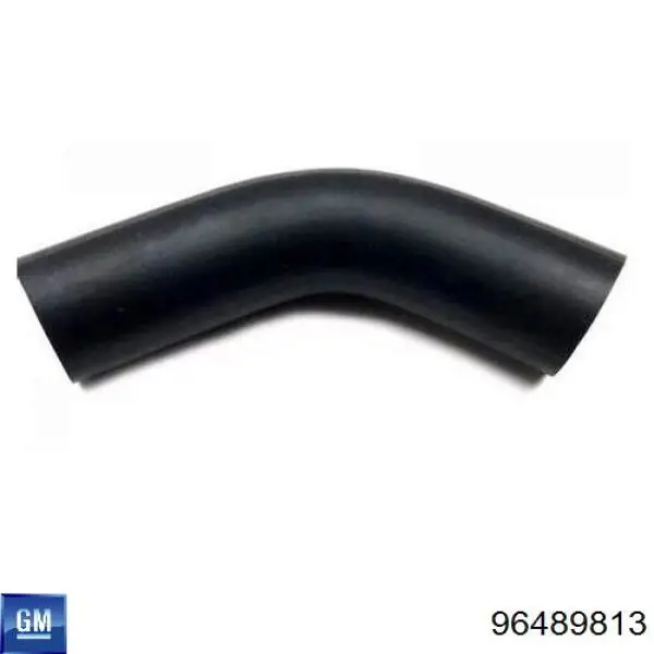 Купити 96489813 General Motors Шланг для видалення повітря