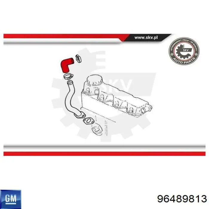 Купити 96489813 General Motors Шланг для видалення повітря