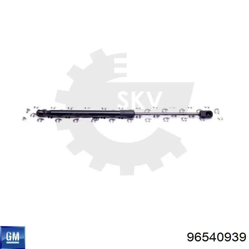 Амортизатор двері задньої General Motors 96540939 ціна, від 7.44 USD