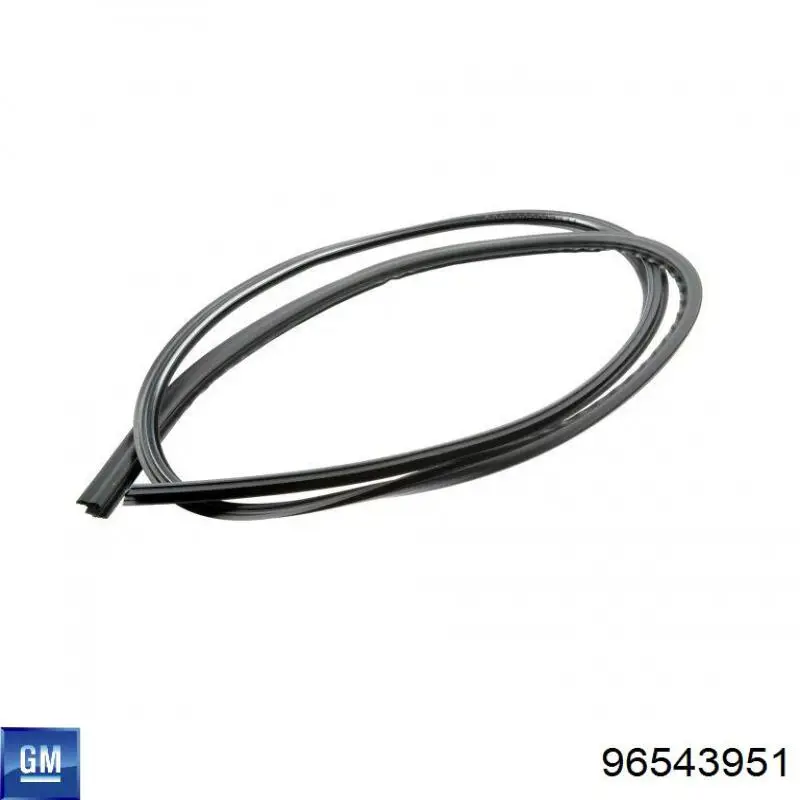 Купити 96543951 Opel Ущільнювач лобового скла