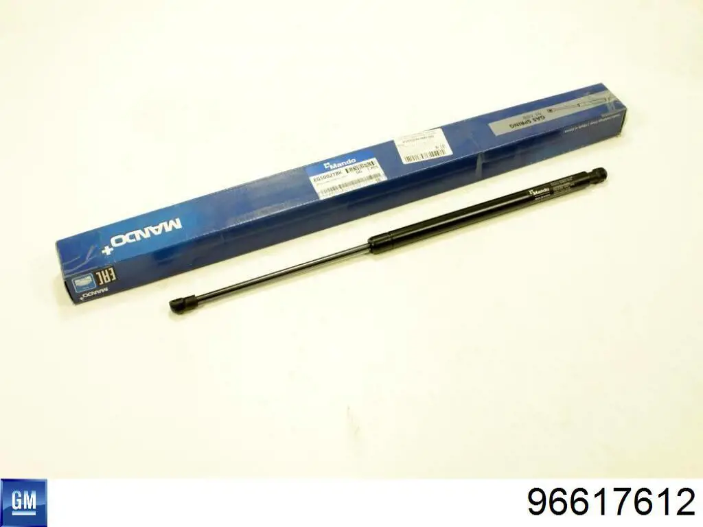 Купити 96617612 General Motors 