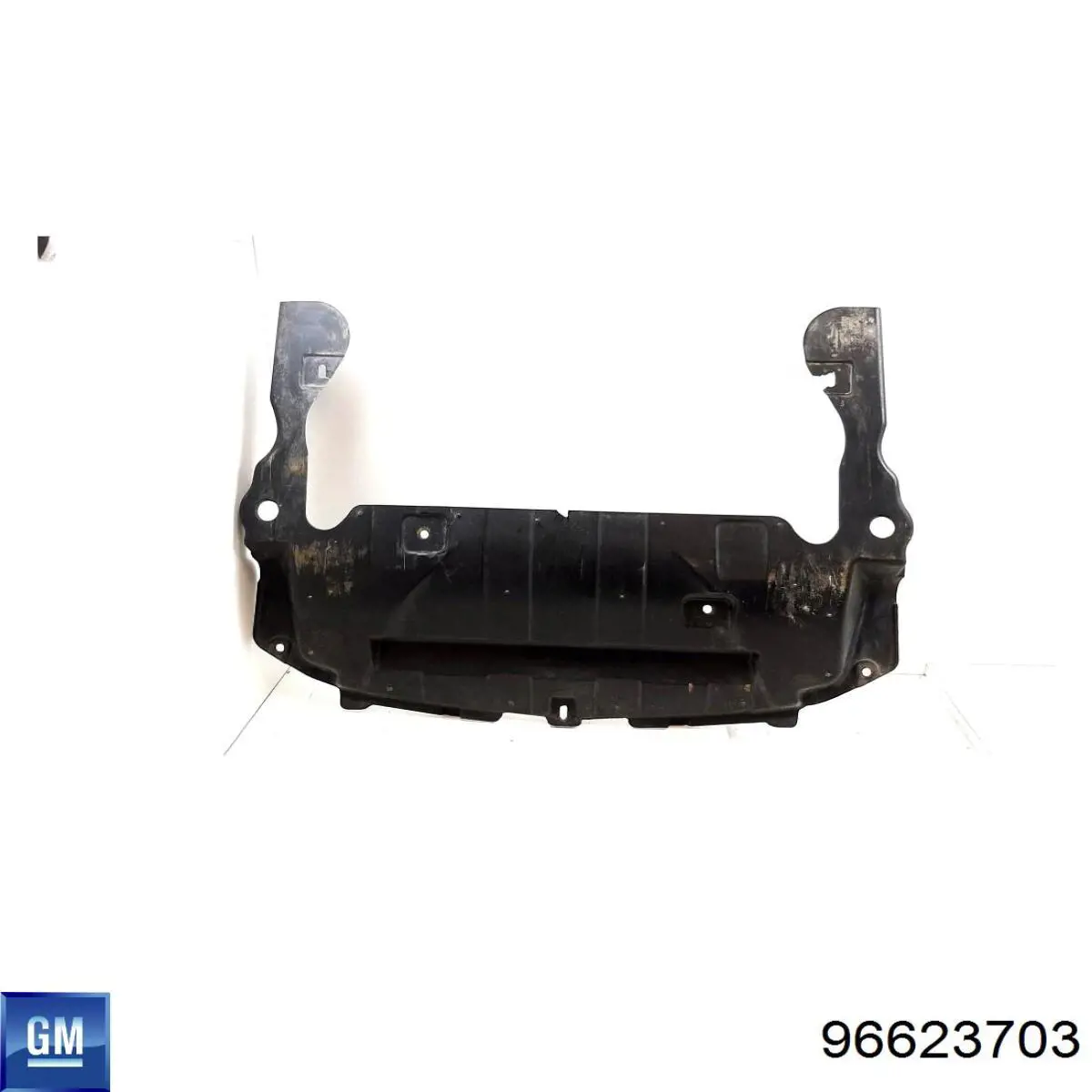 Захист ДВС General Motors 96623703 ціна, від 70.49 USD