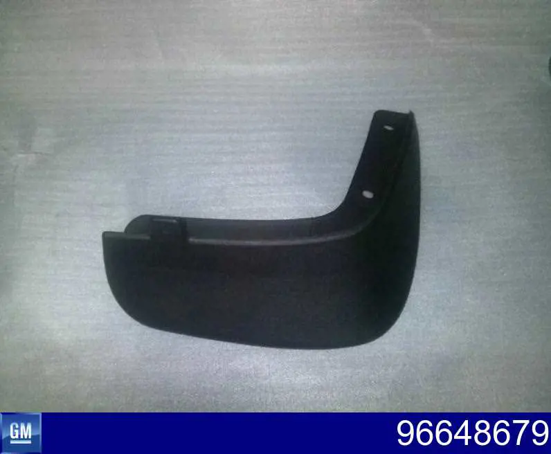 Бризковики задній, правий General Motors 96648679 ціна, від 1.80 USD